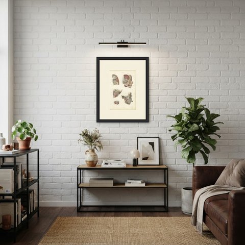 Nerves of the Jaw and Infratemporal Region, Hirschfeld Anatomy Print, 1866, shown framed in a room