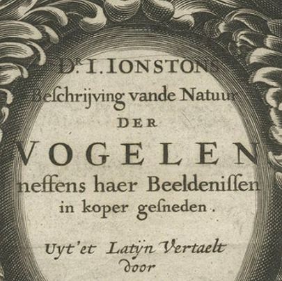 Antique Decorative Frontispiece of Putti and Birds, 1660, close-up 3