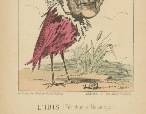Imperial Menagerie: Zangiacomi - The Ibis (Fetishism - Deception), 1870, close-up 2