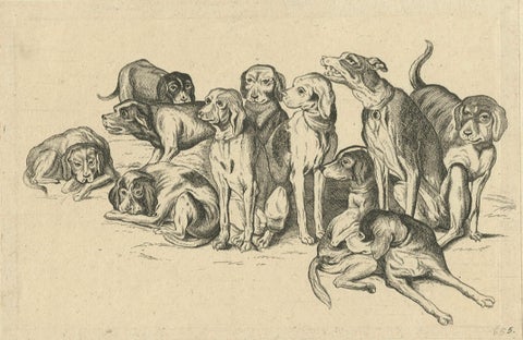 Eleven Hounds, Reversed 17th-Century Etching After Wenceslaus Hollar, c.1646, close-up 2