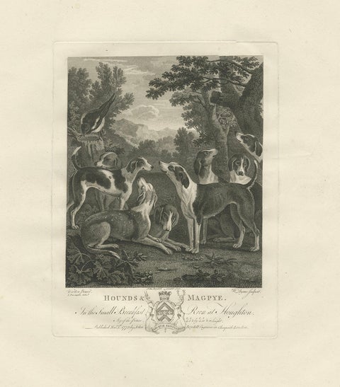 Hounds & Magpye Antique Engraving, English Sporting Art, 1775, close-up 1