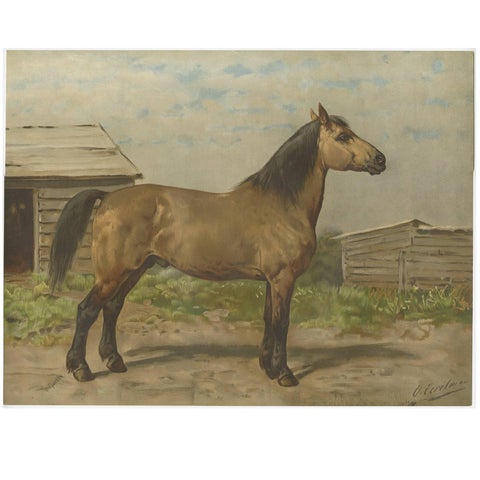 Antique Print of the Canadian Horse by O. Eerelman, 1898