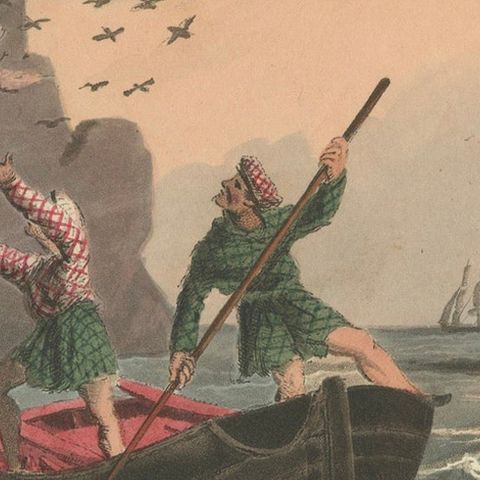 Foreign Field Sports: Bird Catching Aquatint by Dubourg & Howitt, 1813, close-up 6
