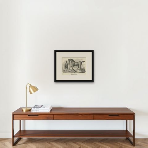 Antique Print of a Mecklenburger Horse, shown framed on a wall