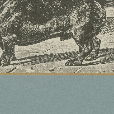Dachshund Dog Illustration, Antique 1915 Print from Dogs of All Nations, close-up 6