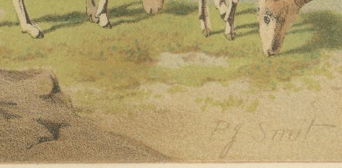 Bharal (Blue Sheep), Antique Himalayan Wildlife Chromolithograph, 1894, view 9