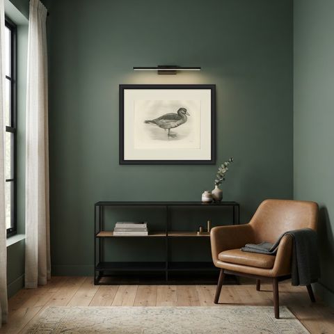 Grey Goose, Antique Bird Print after Lilian Medland, circa 1909, shown framed in a room