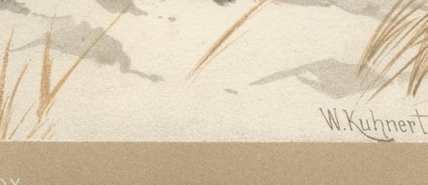 Common Fox in Winter Landscape, Antique Animal Chromolithograph, 1894, view 9