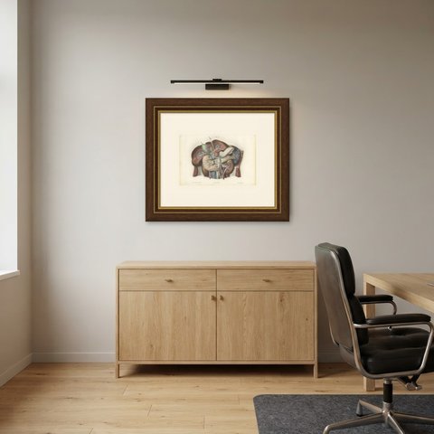 Nerves of the Stomach, Liver and Spleen, Antique Hirschfeld Anatomy Print, 1866, shown framed in a room