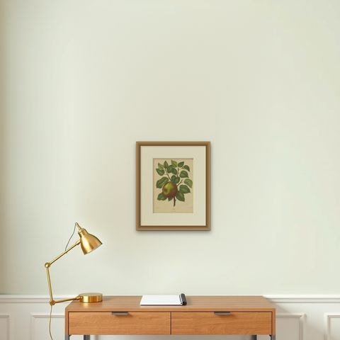 Antique Print of a Cellini Apple by G. Severeyns, 1876, shown framed on a wall