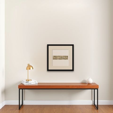 De Bry Botanical Engravings, Pineapple, Mango & Pepper Plants, c.1598, shown framed on a wall