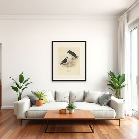 Old Bird Print Depicting the Little Auk by Gould, 1832, shown framed in a room